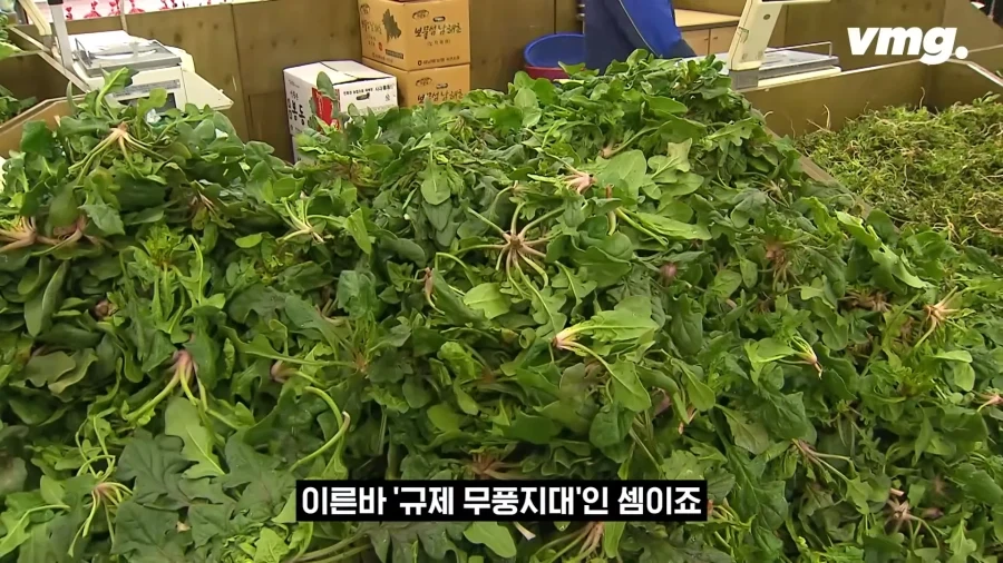 홈플러스 따라 십창나고있다는 마트.jpg_7.webp