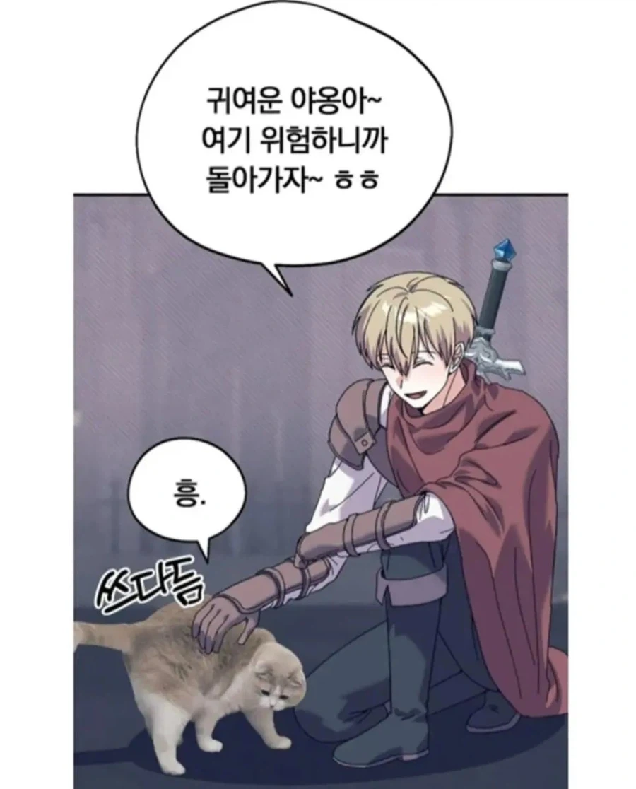 고양이를 못그리는 작가_2.webp