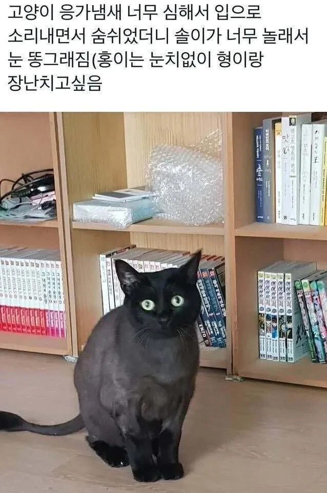 애기 아빠가 화가 많이 났어요. 대표 이미지