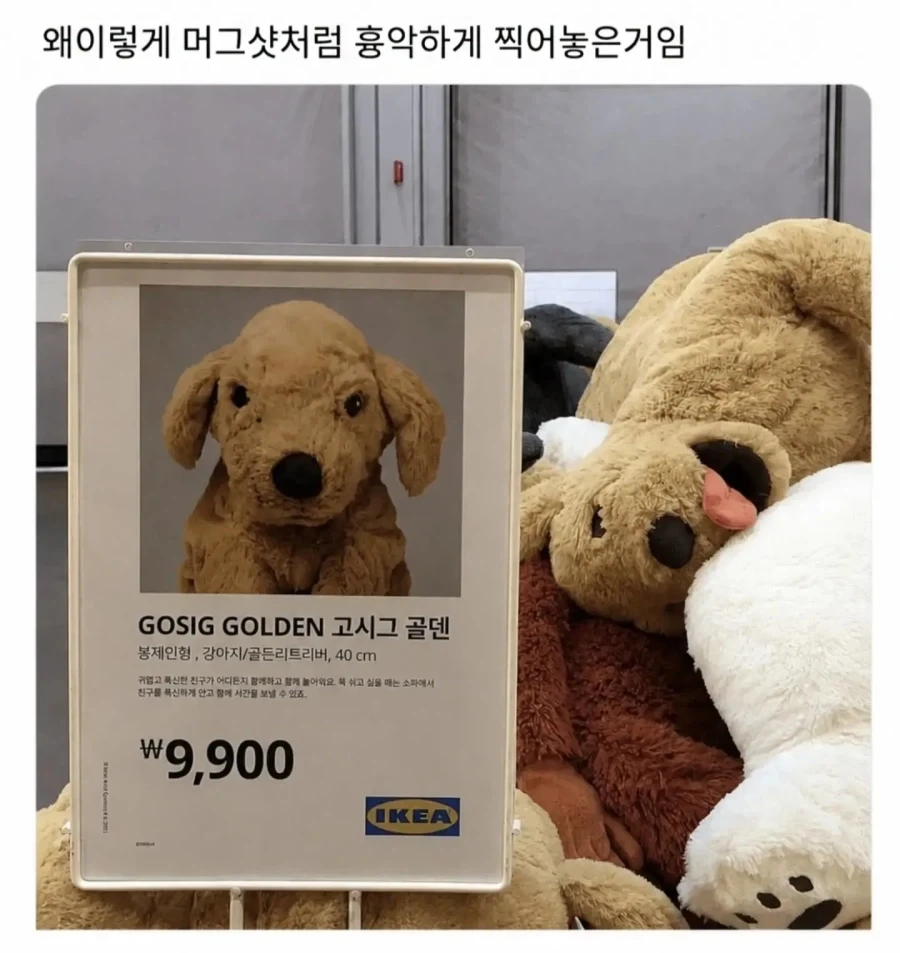 폭식쨩이 죽지 않고 행복해지는 단 하나의 길 이미지 3