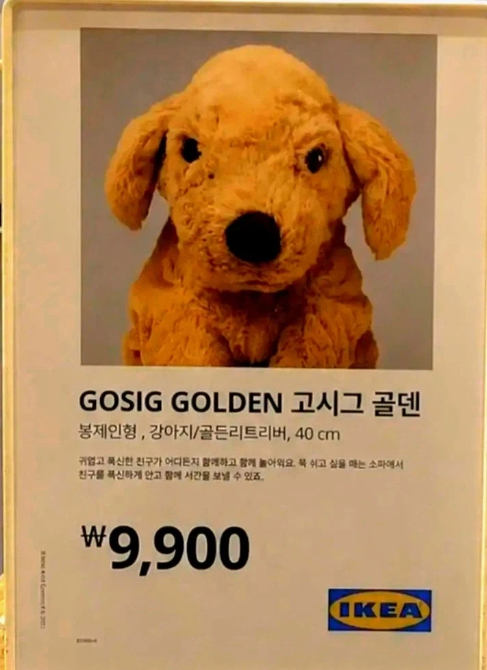 세이 마이 네임_2.webp