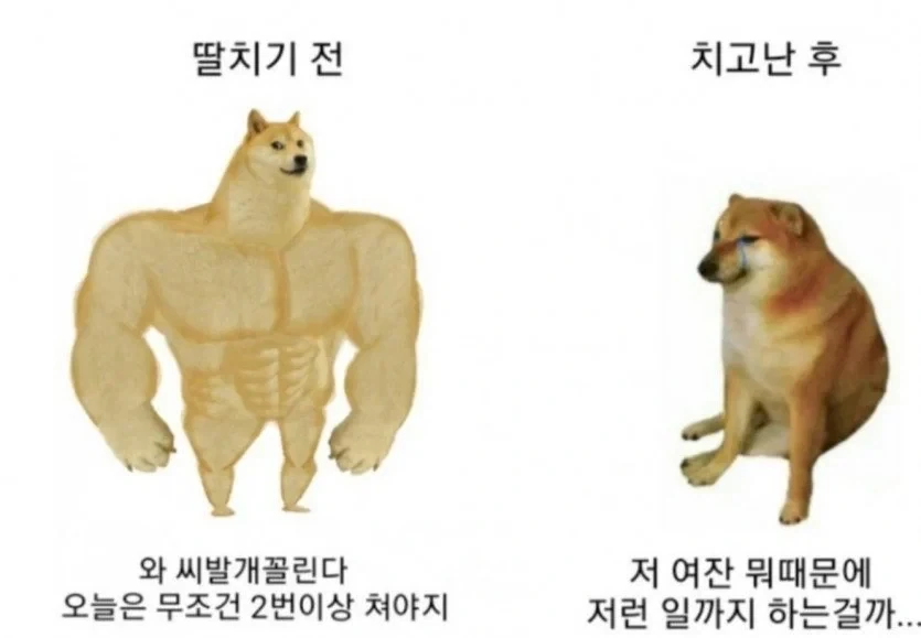 식객) 결혼 축하해주는 봉주 이미지 3