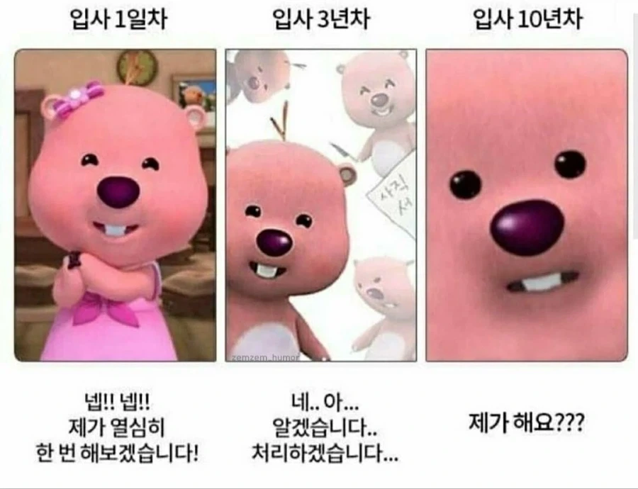 주식)지금 국장 요약 대표 이미지