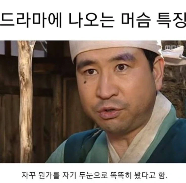 큰 누나 배를 갉아먹은 강아지 이미지 7