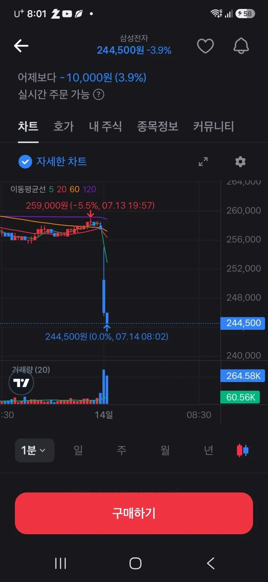 큰 누나 배를 갉아먹은 강아지 이미지 4
