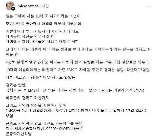 ＇완전변태 곤충은 유충일적 기억이 없다＇에 반론을 제시한 일본 소년.jpg 이미지 2