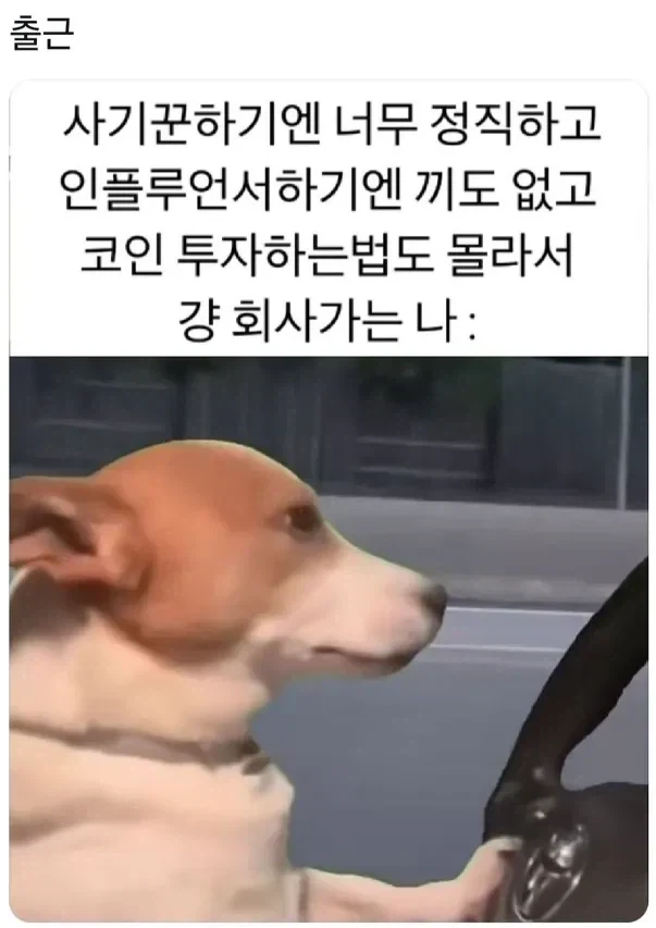 와사비 폭탄 초밥 후기.jpg 대표 이미지