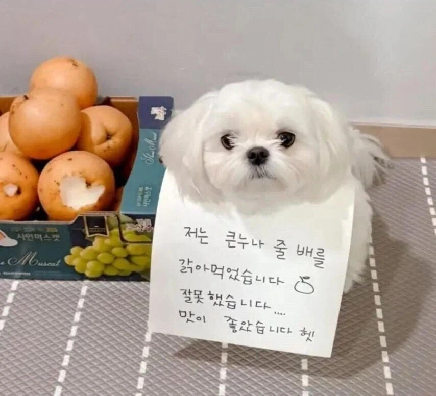 우와.. 이게 뱃속이래.. 대표 이미지
