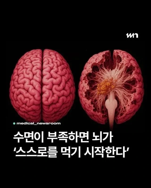 마비노기) 이놈은 순 악당이에요!! 대표 이미지
