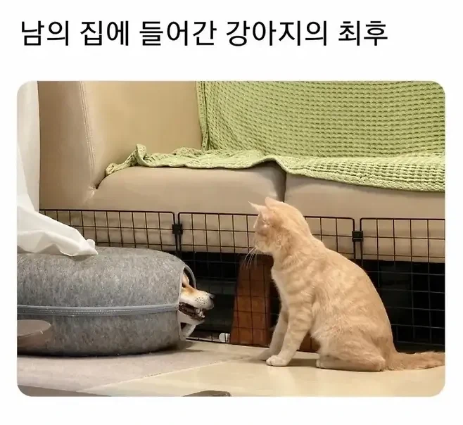 결호 후 더 부자 되는 사람들의 특징.jpg 이미지 3
