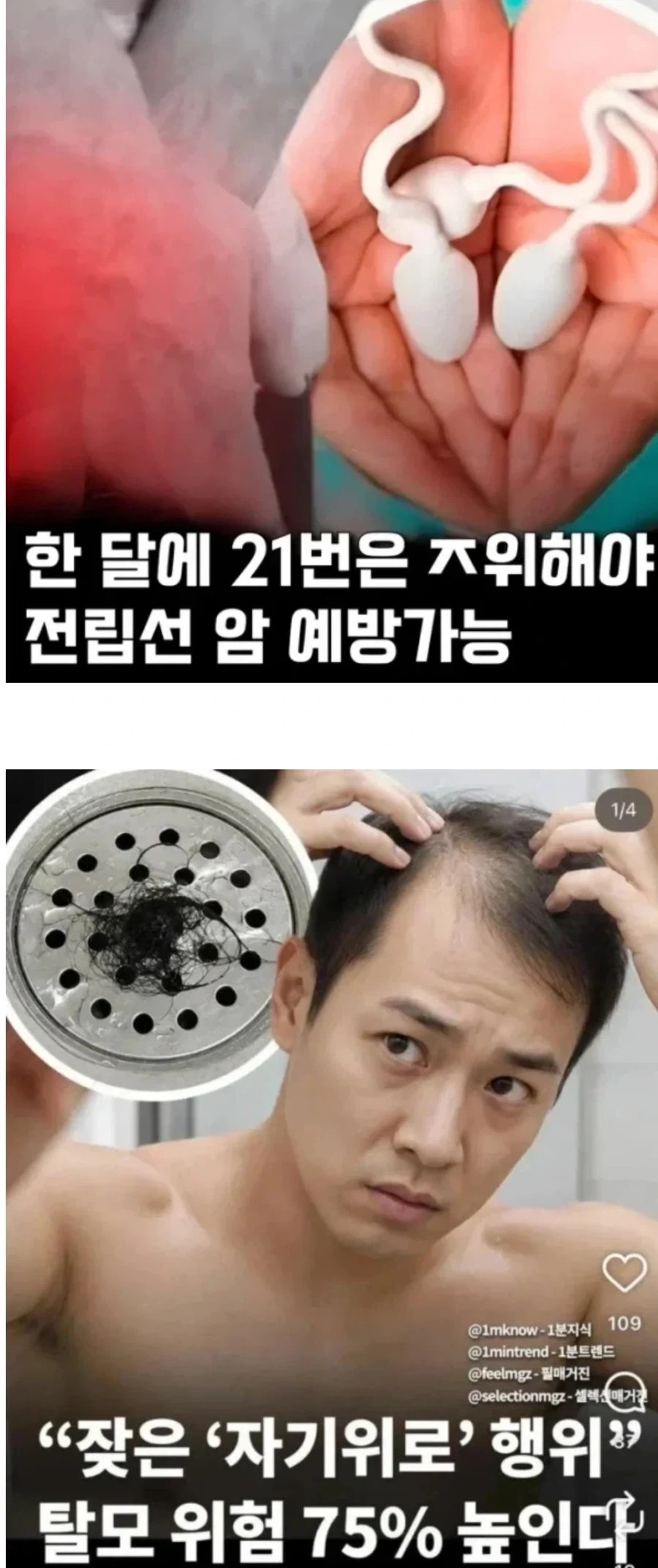 애니메이션에 대한 악의적인 루머의 진실.jpg 대표 이미지