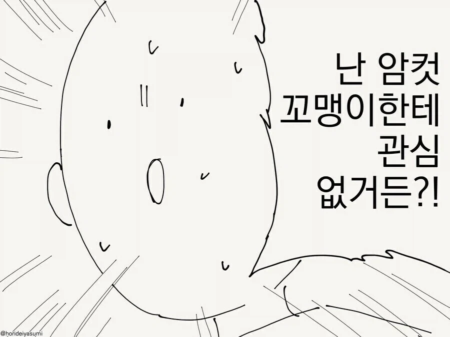 암컷꼬맹이인줄 알았던 사람의 정체_2.webp