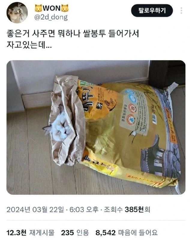 해리포터 연재당시 유행했던 가설 이미지 2
