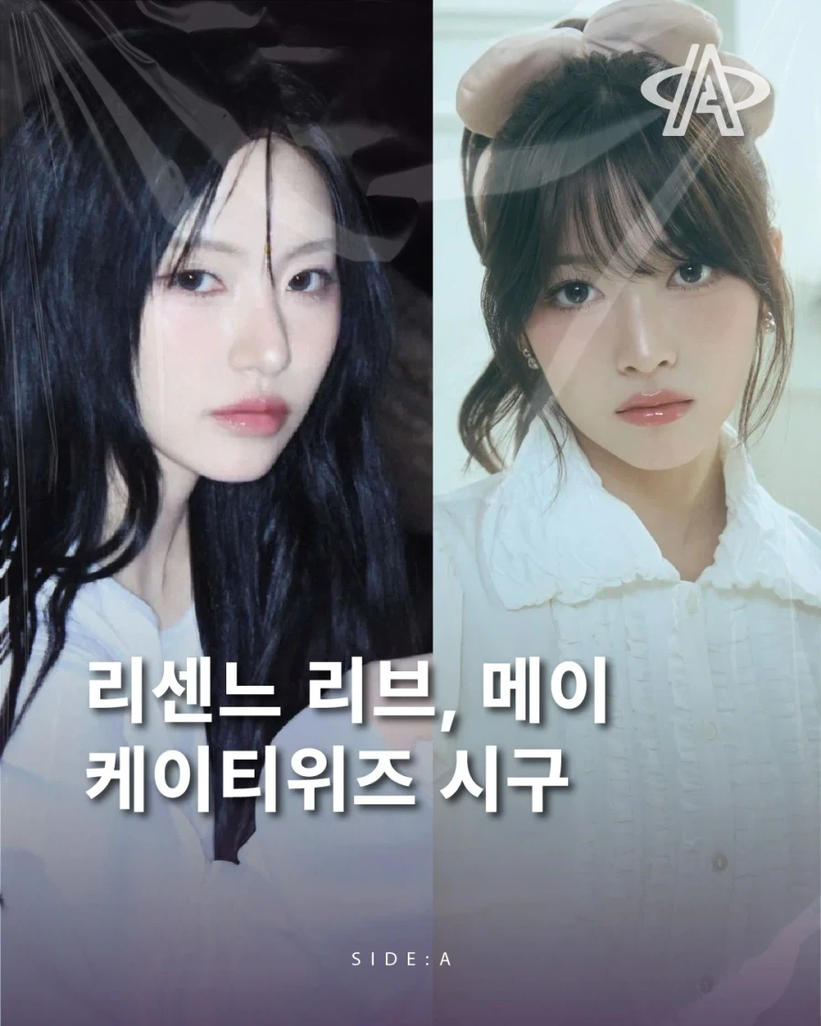 왜 올려도 ㅈㄹ 내려도 ㅈㄹ인데??? 이미지 5