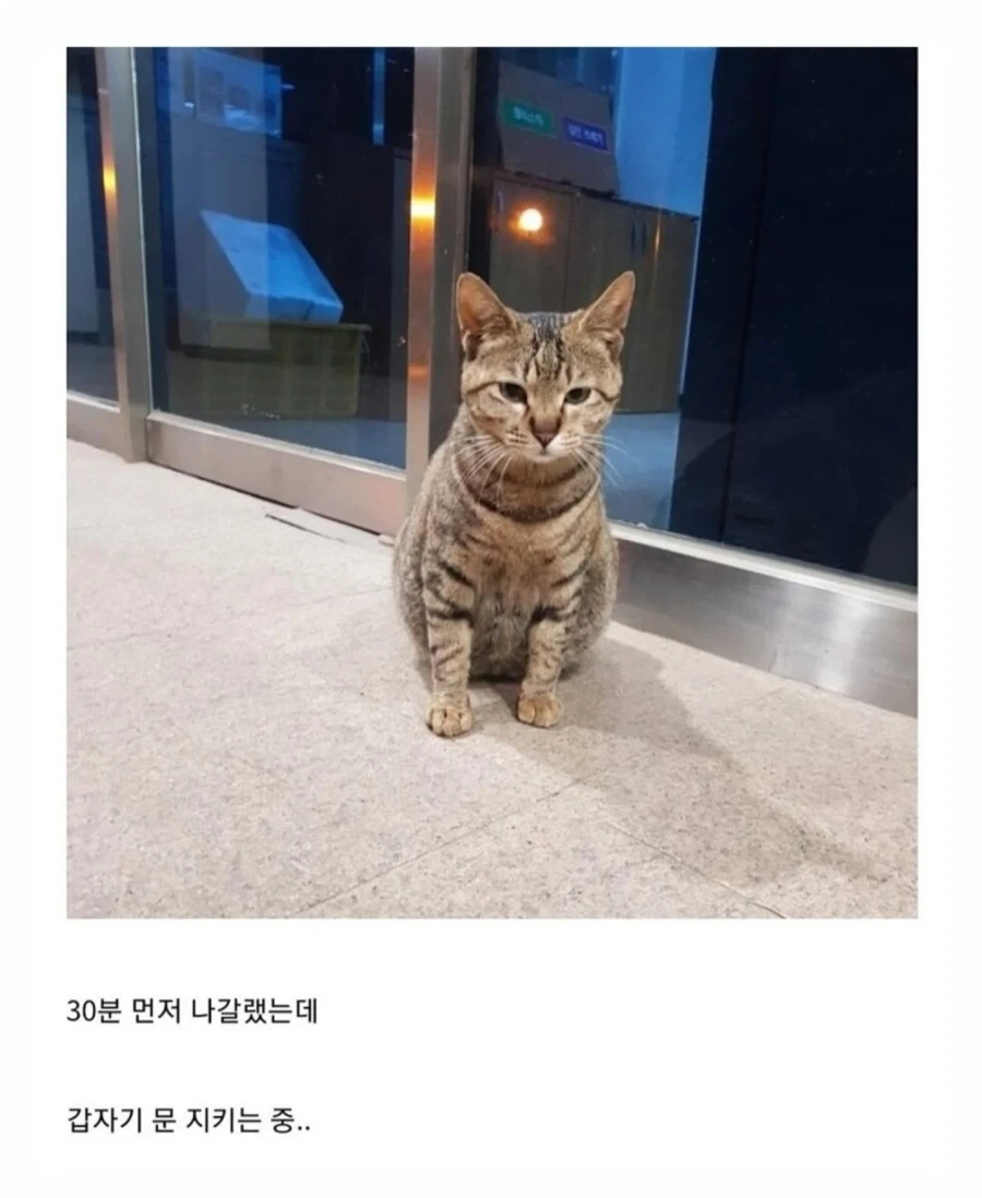중소기업 동물들모음._2.webp