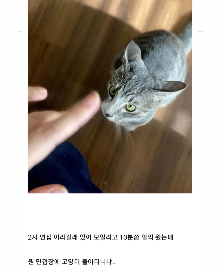 중소기업 동물들모음._4.webp