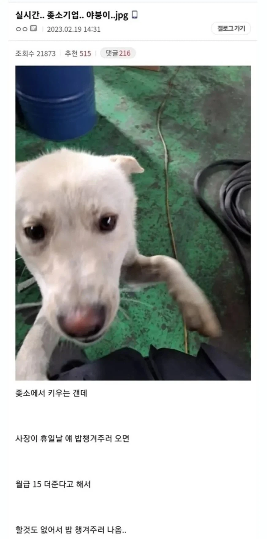 중소기업 동물들모음._6.webp