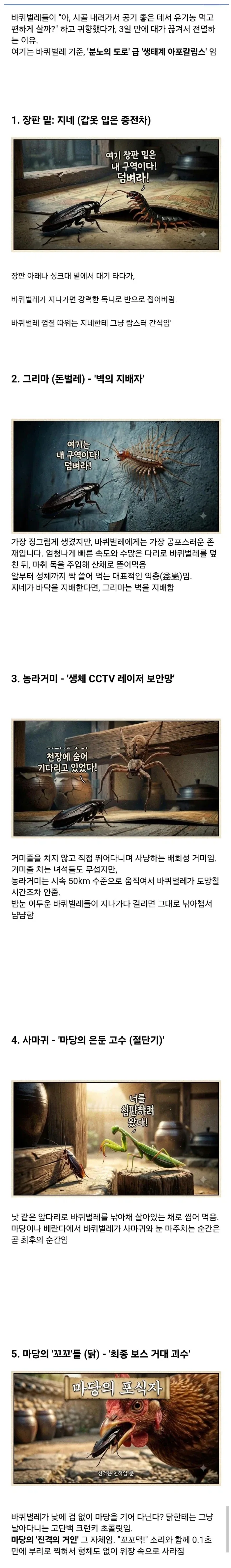 한국의 이상한 주차문화 이미지 4
