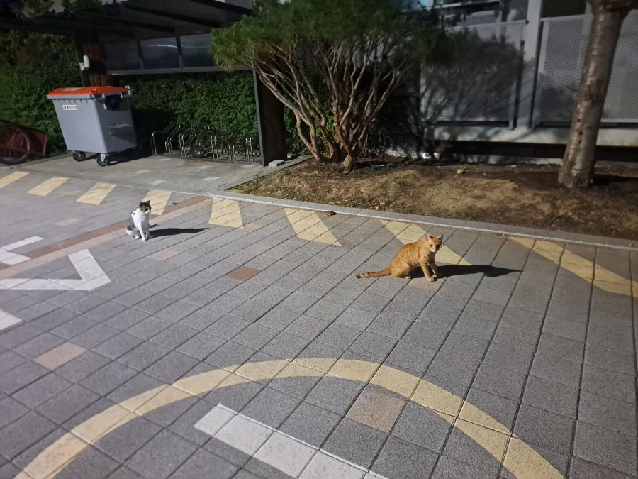 맑눈광 스토커 이미지 5