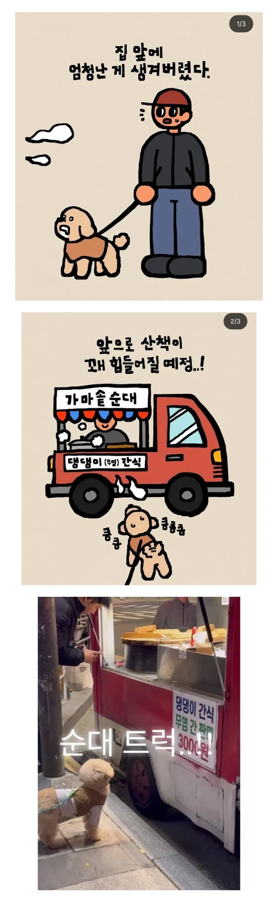 새로운 매호대전 결과 이미지 16