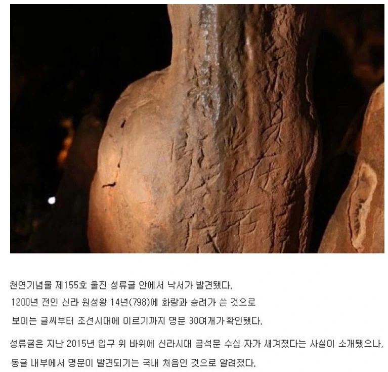 솔직히 회사다닐때 문서에 이딴거 적어놓은거 두고두고 후회하고 있음 이미지 3