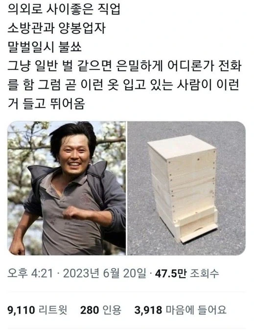 모닝글황금의의지 이미지 4