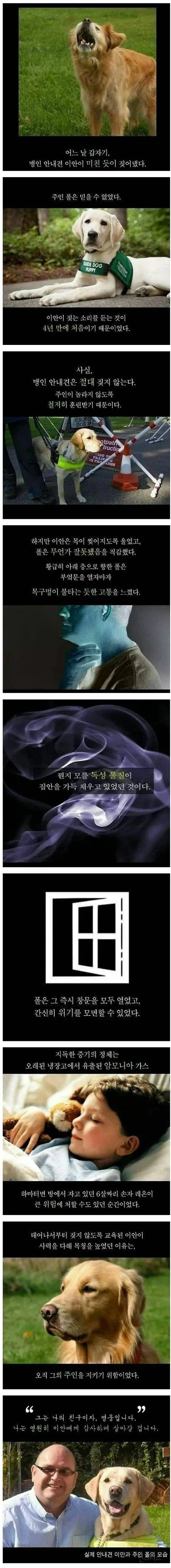 님들 이거 먹으라면 먹음? 이미지 15