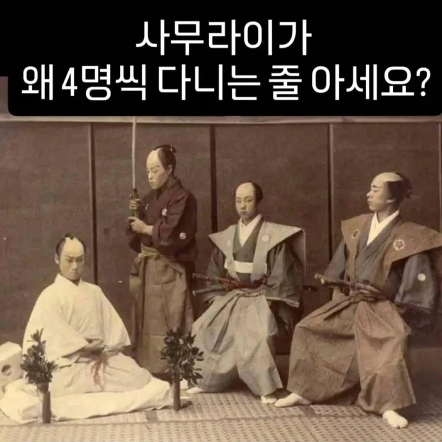 백조가 돌아다닌다고 난리난 일본 해수욕장.jpg 이미지 13