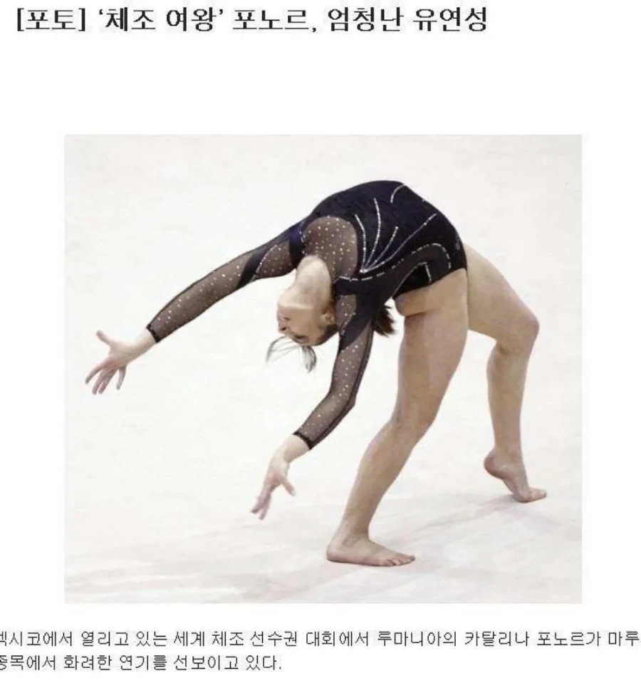 백조가 돌아다닌다고 난리난 일본 해수욕장.jpg 이미지 12