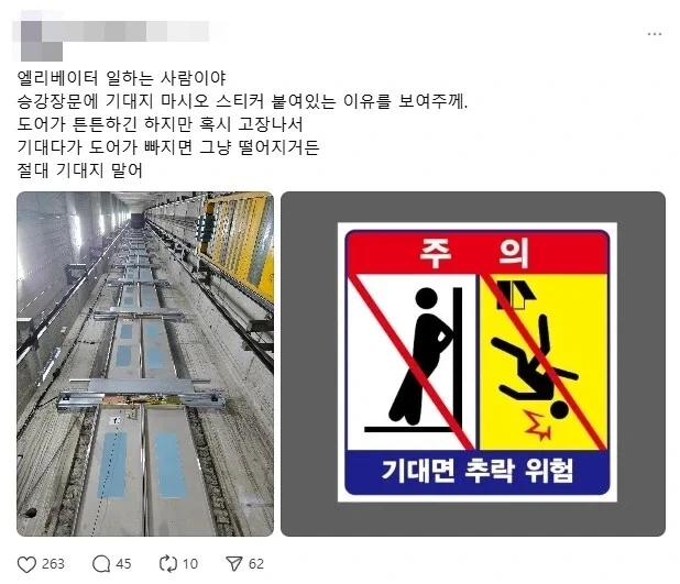 백조가 돌아다닌다고 난리난 일본 해수욕장.jpg 이미지 4