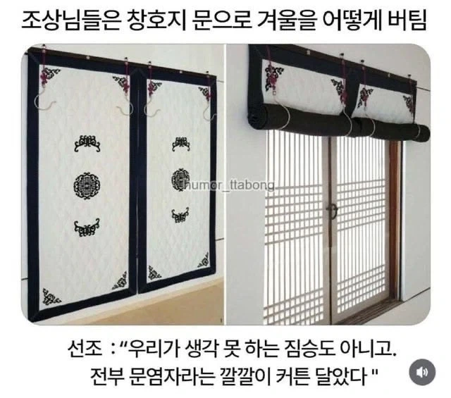 원피스 금사자 시키가 매력적인 이유 이미지 3