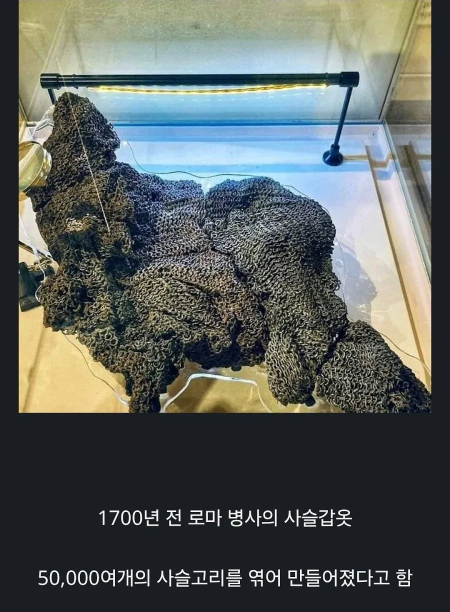 2000년 전 고대 로마의 유물들.JPG_14.webp