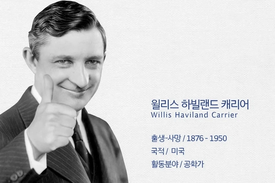 담베 고양이 애니는 순화된것 대표 이미지
