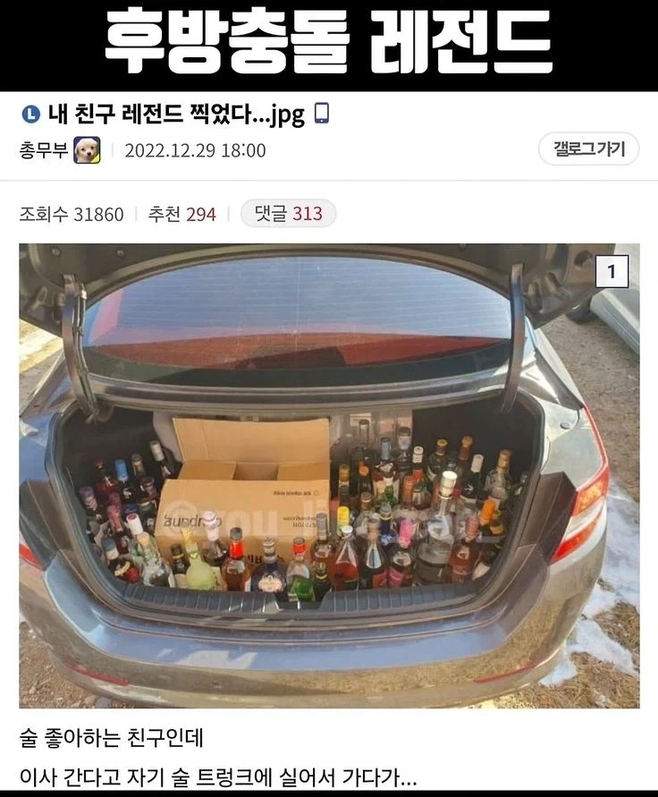뭣?! 프린세스 메이커 신작이 흥하고 있다고?! 대표 이미지