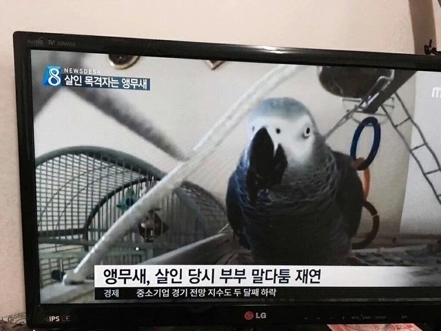 촌구석검성) "벗으세요, 잡아먹는게 아니니까 벗으시라고요" 이미지 4