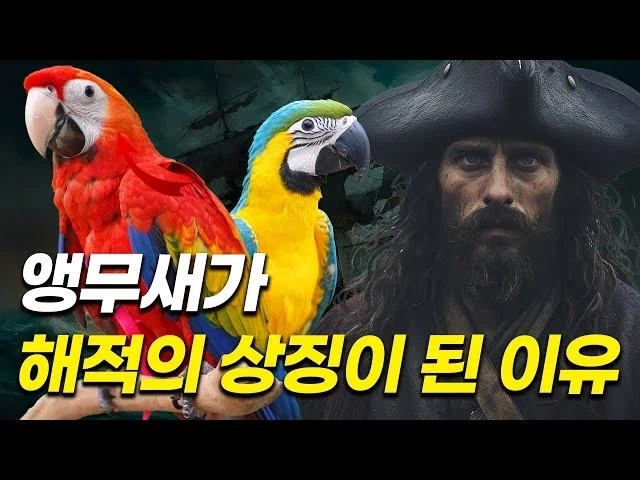 [원피스] 이무 = 앵무새 설이 도는 이유_7.webp