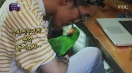 원피스) 임 앵무새설도 예언한 무한도전_3.webp