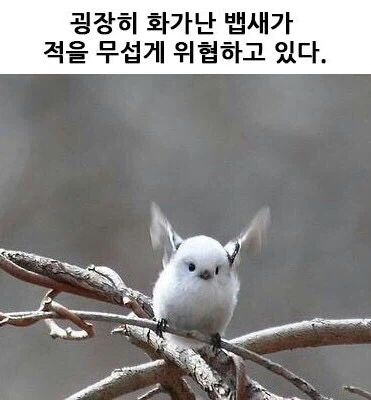 원피스) 포네그리프에 적혀있던 것 이미지 16