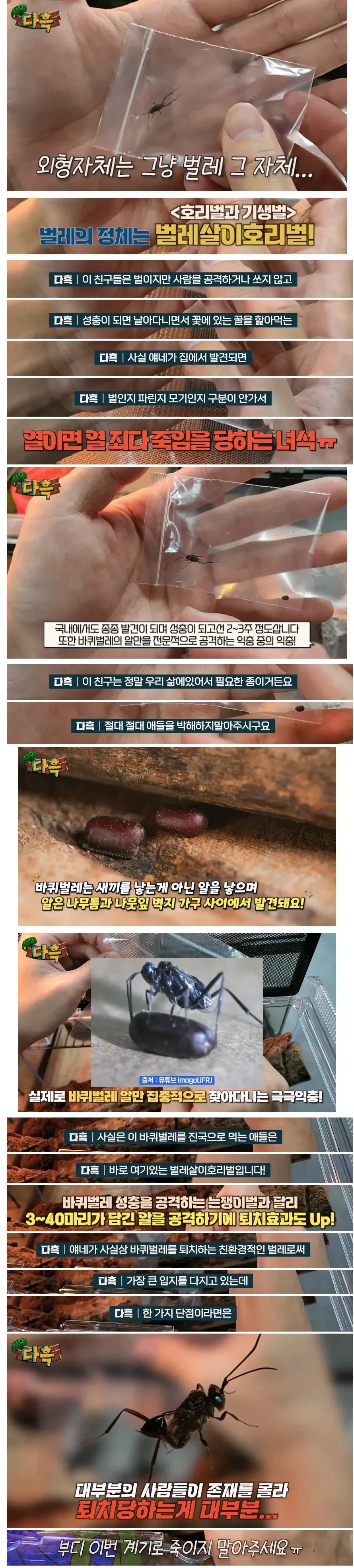 중세 유럽의 국가들이 죄다 자기가 로마의 후계라고 자청한 이유 이미지 8