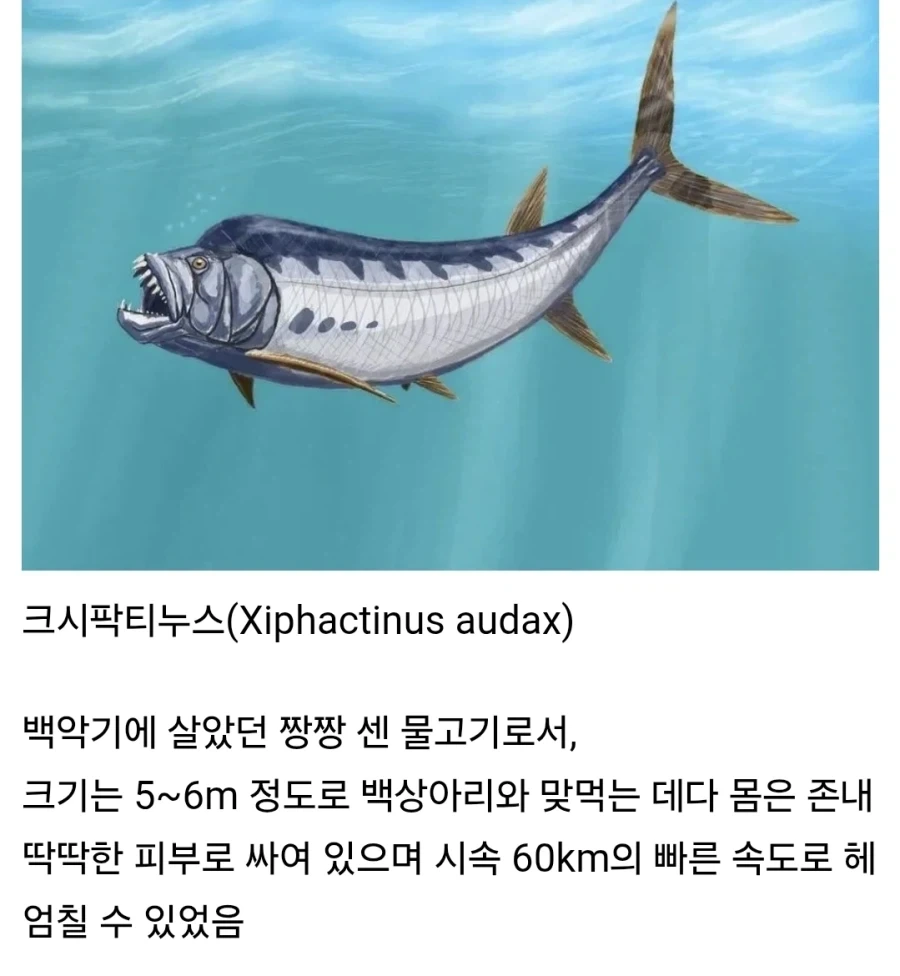 주식) 얘들아..애플을 봐... 이미지 5