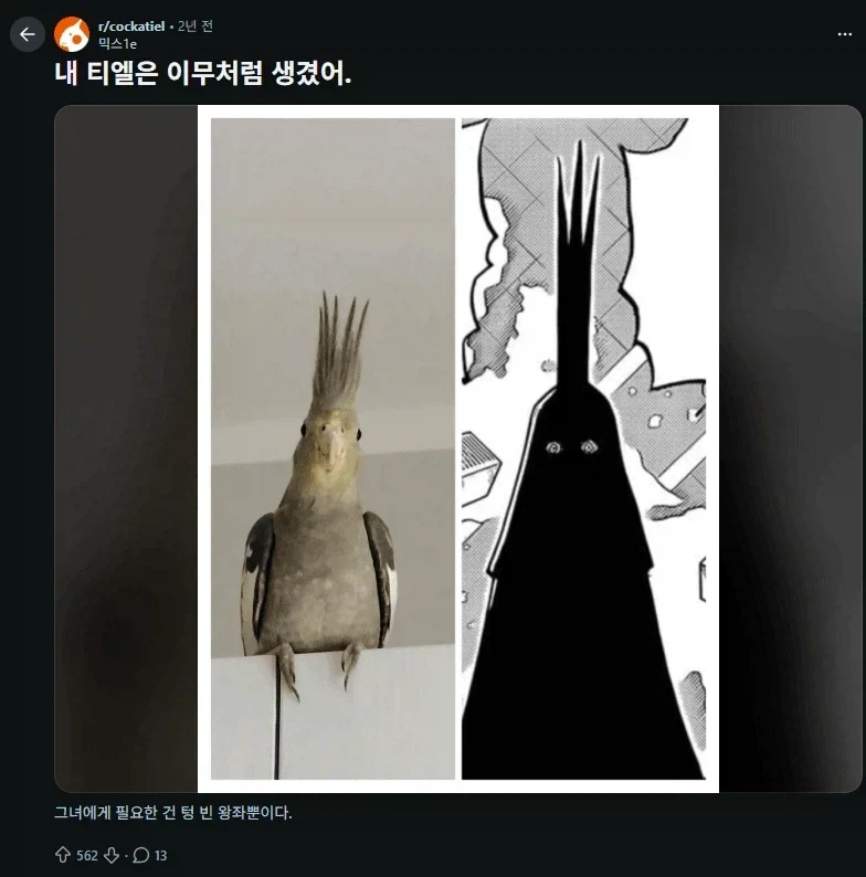 피자를 먹게 되어 너무 신난 아이 이미지 5