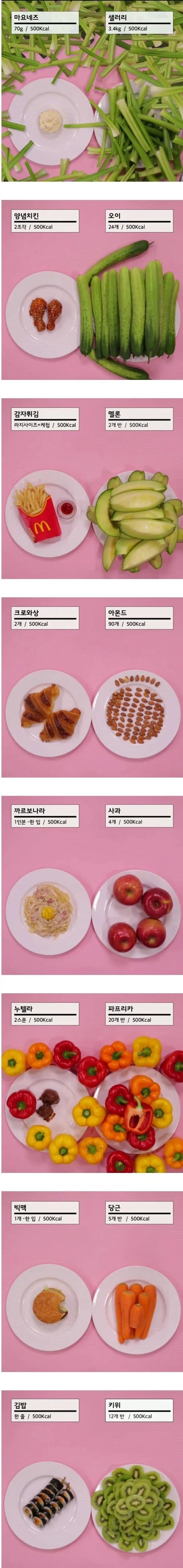 세계의 왕이 앵무새래 ㅋㅋㅋㅋㅋㅋㅋㅋㅋㅋㅋㅋㅋㅋㅋㅋㅋㅋㅋㅋㅋㅋㅋㅋ 대표 이미지