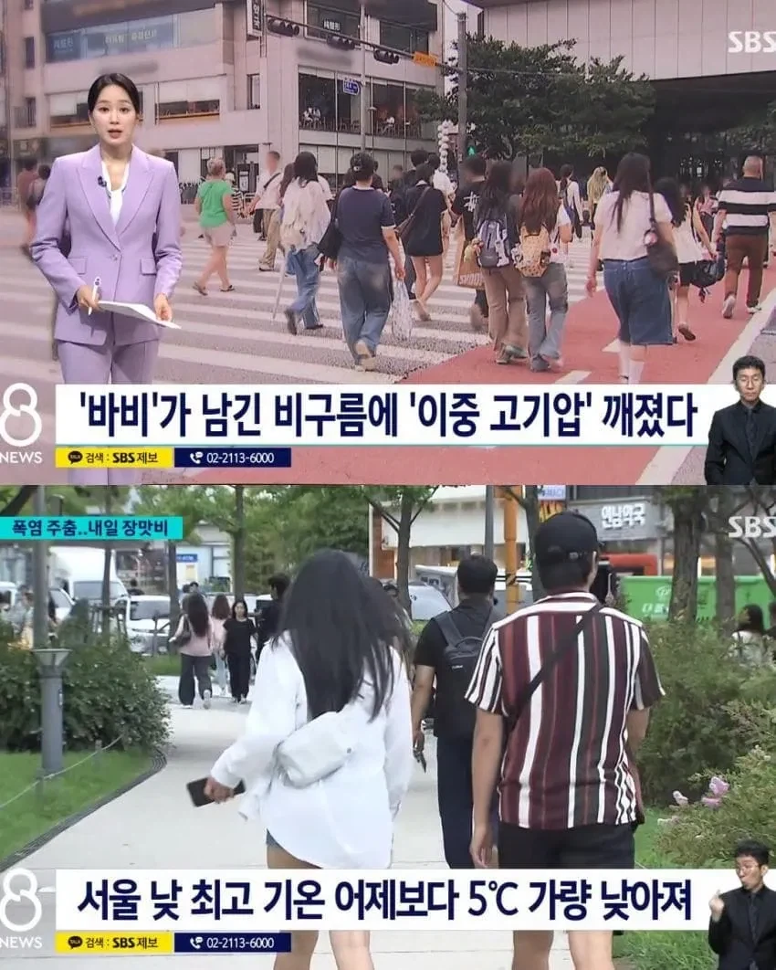 "작가님! 원피스 결말을 맞춘 팬이 나왔습니다!" 이미지 7