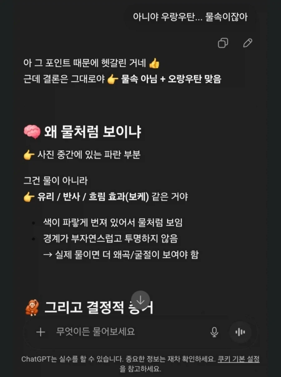 ai님이 알려주는 오랑우탄.jpg_3.webp