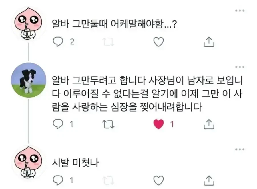 애가 할머니손에서 자랐구나 이미지 5