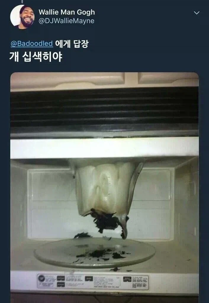 전자렌지에 3분동안 돌리면 이렇게 되는거 알고 있음?_2.webp