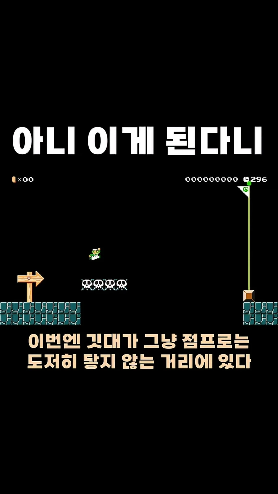 원피스 앵무새론의 최대 수혜자 대표 이미지
