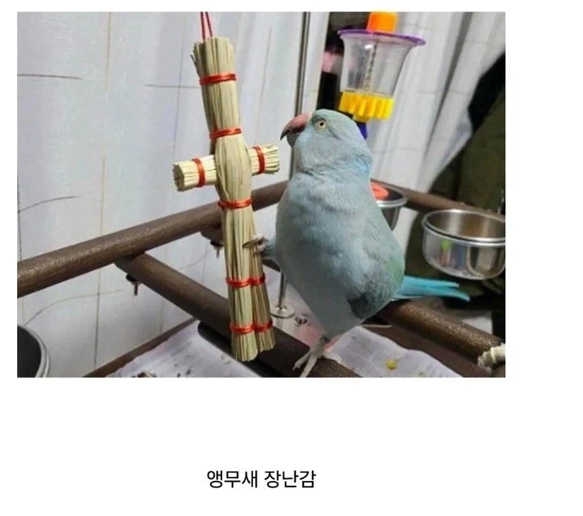 택배 주문한거 옆집 손녀가 뜯음_2.webp
