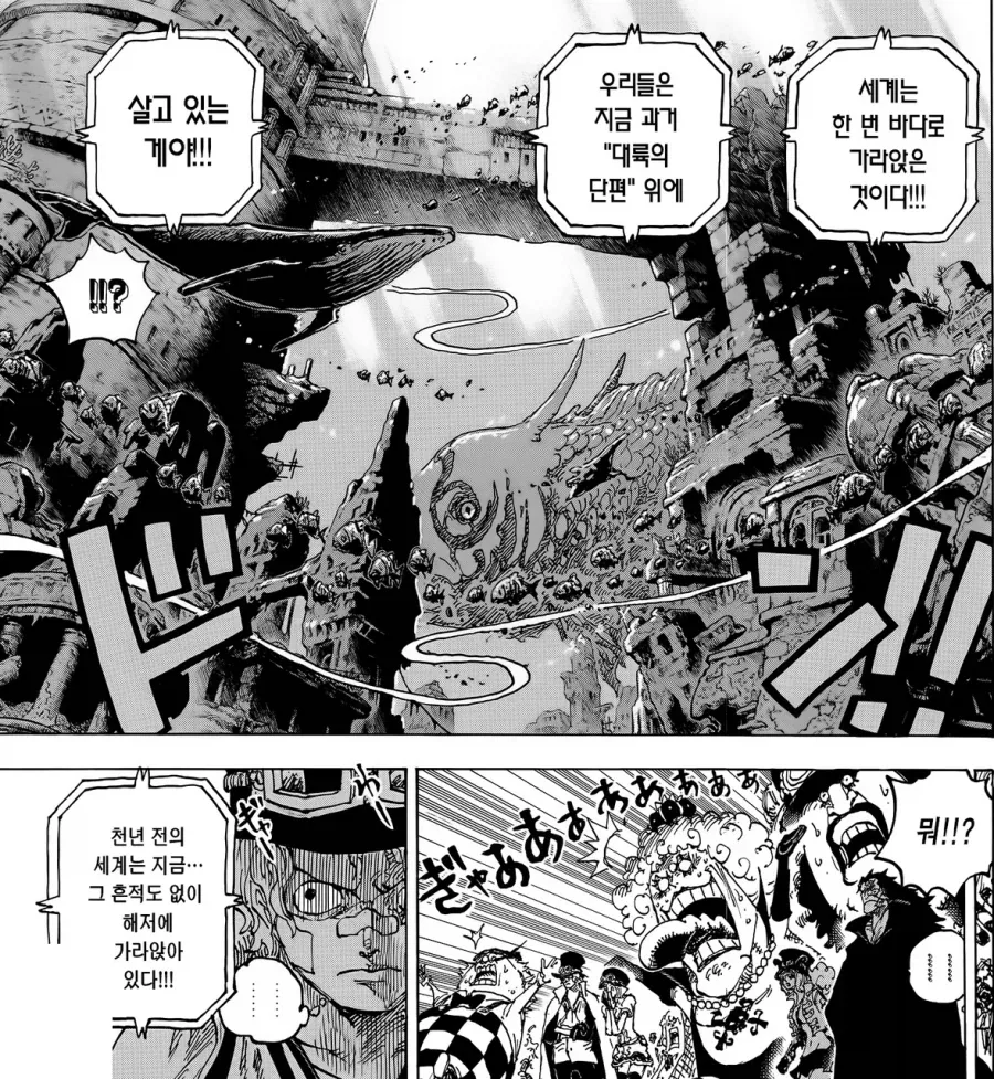 원피스) 앵무새론이 그럴 듯한 이유_6.webp