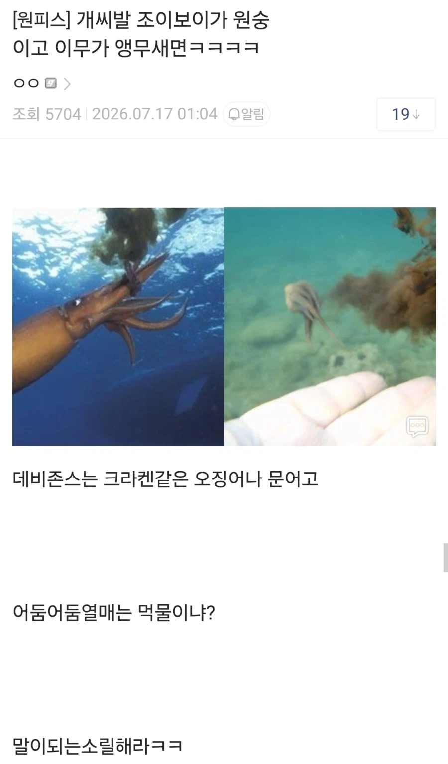 원피스)이건 어항이 아니라 넥카라겠네 이미지 3